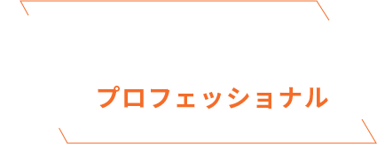 不動産売却のプロフェッショナル